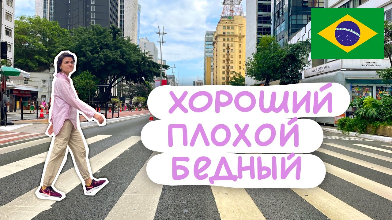 Сан-Паулу: карнавал, капибары, бездомные