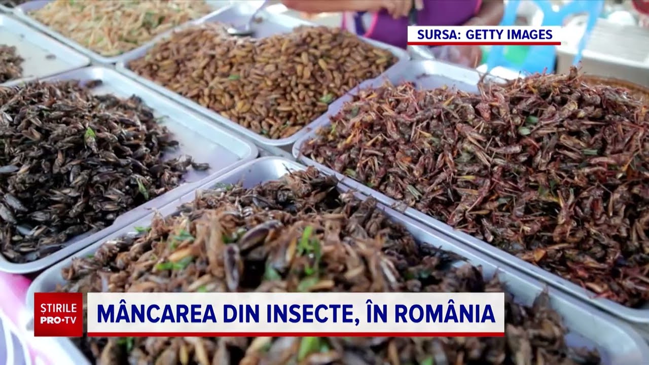 Batoanele, pâinea ori dulciurile pe bază de insecte vor putea fi cumpărate și în România