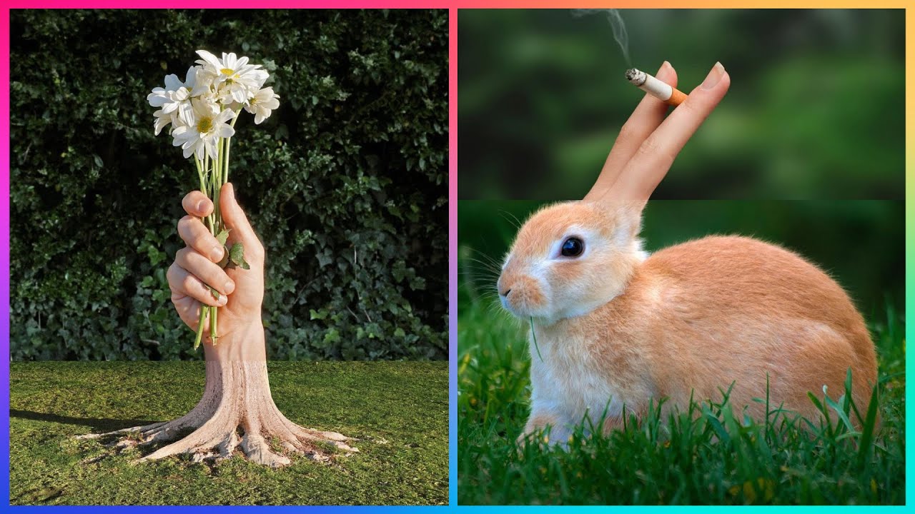 Mind Blowing CREATIVITY That Will Make You Surprise ▶ 4 Happy Times 🤩