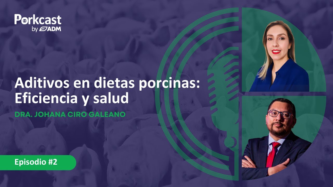 #2 - Aditivos en dietas porcinas: Eficiencia y salud - Dra. Johana Ciro Galeano