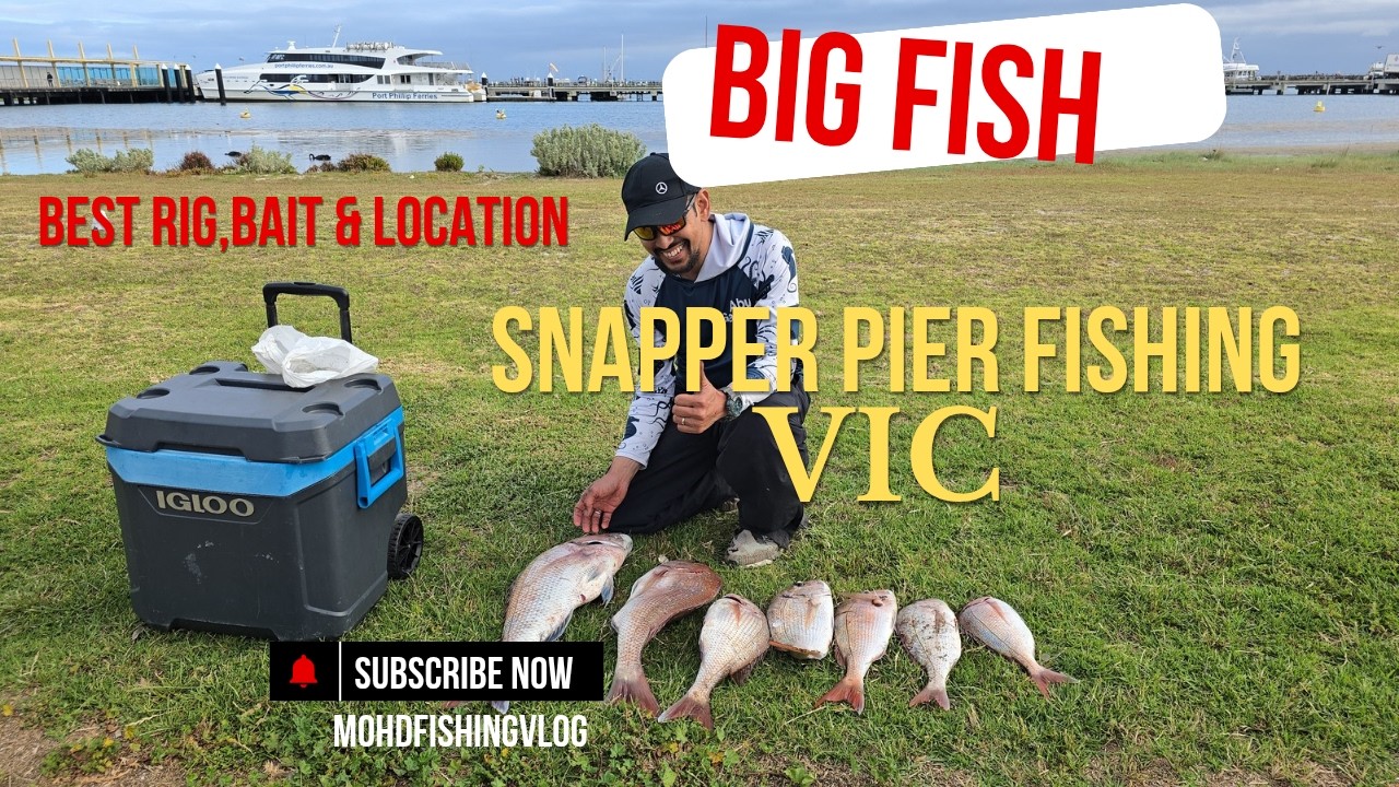 snapper pier fishing