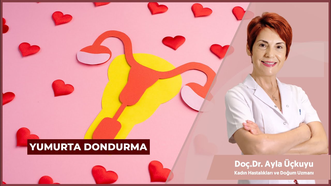 Yumurta Dondurma