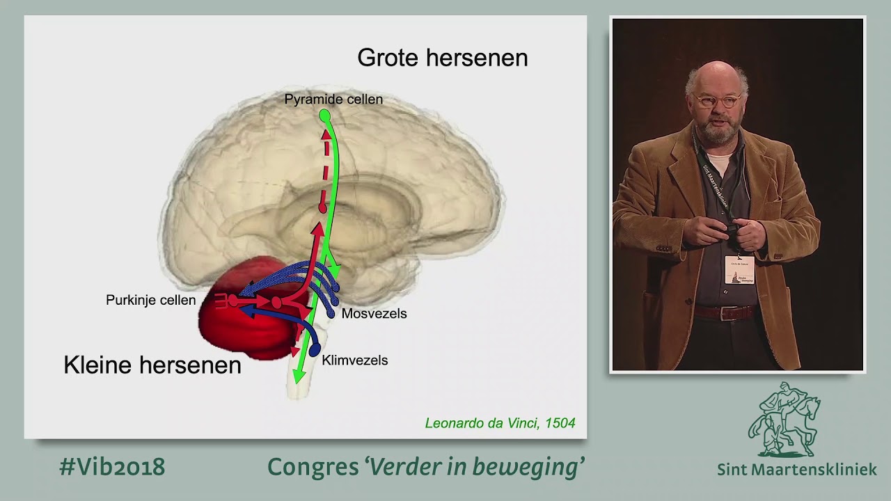 Chris de Zeeuw - Maartenslezing: Verdere beweging in de kleine hersenen hebben grote gevolgen