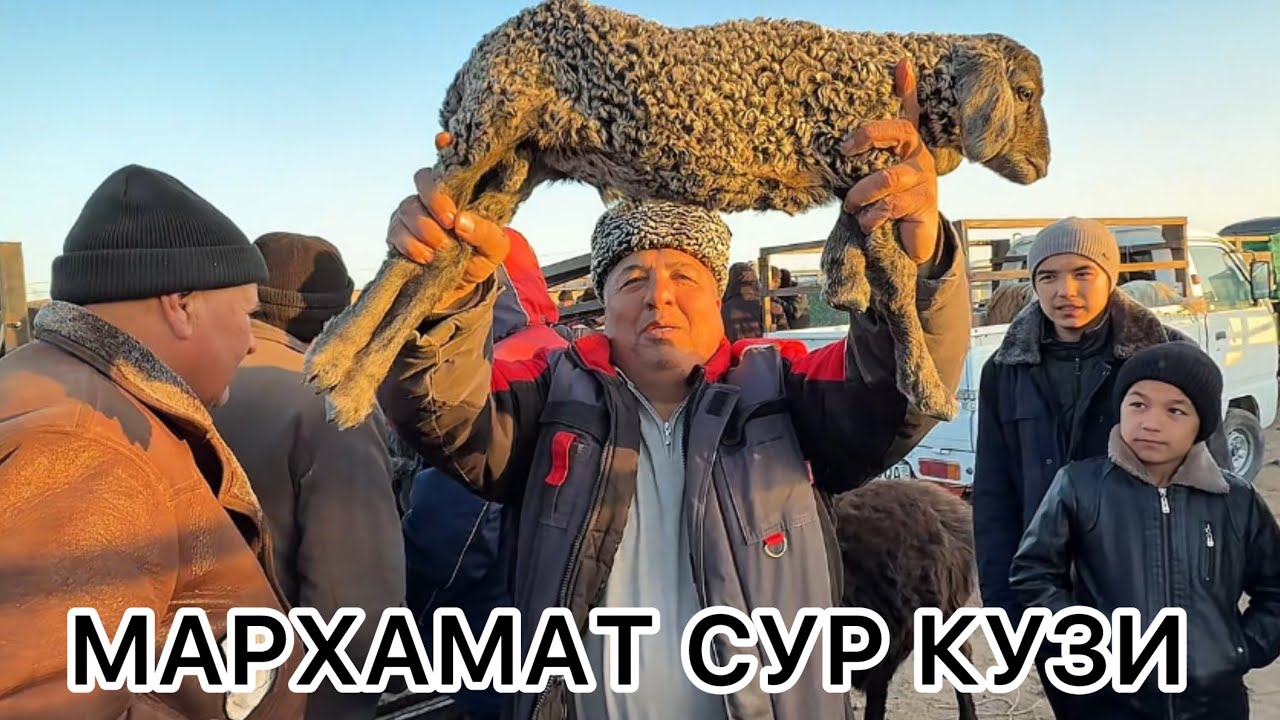 ЭЛЛИККАЛА БУСТОН КУЙ БОЗОР НАРХЛАРИ 