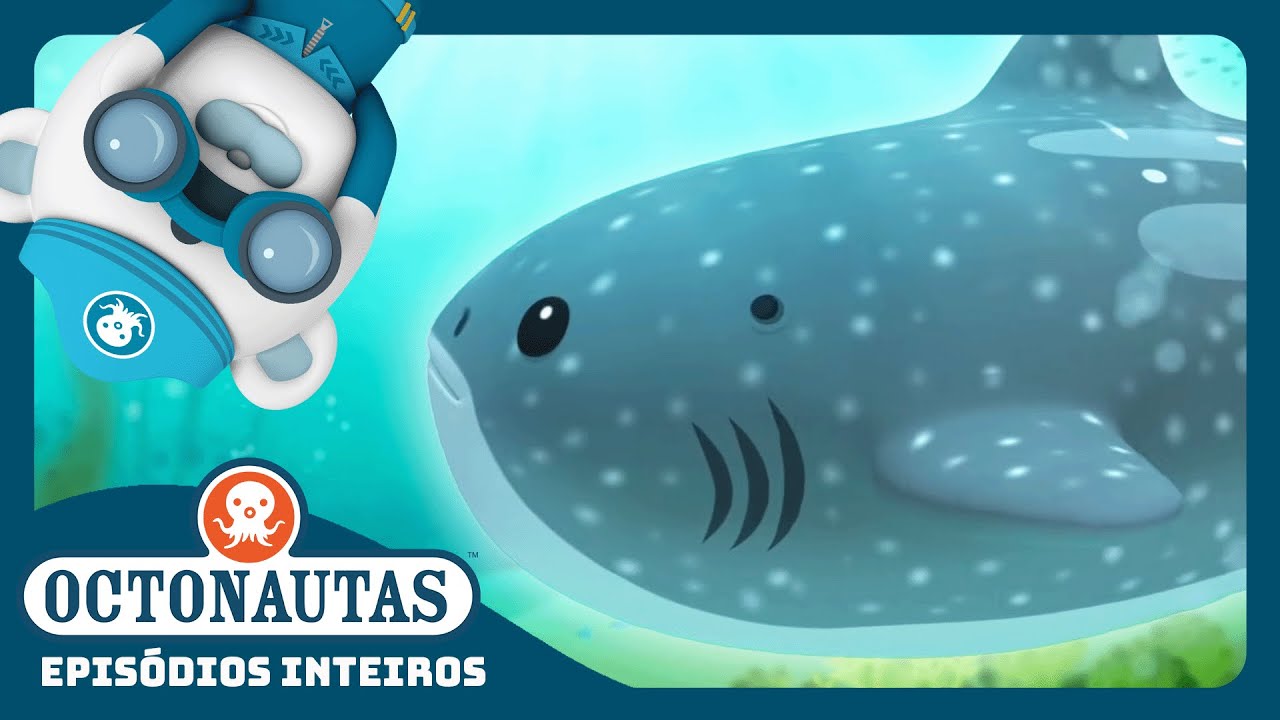 Octonautas - 🌊 O Tubarão-baleia 🦈 | Temporada 1 | Episódios inteiros