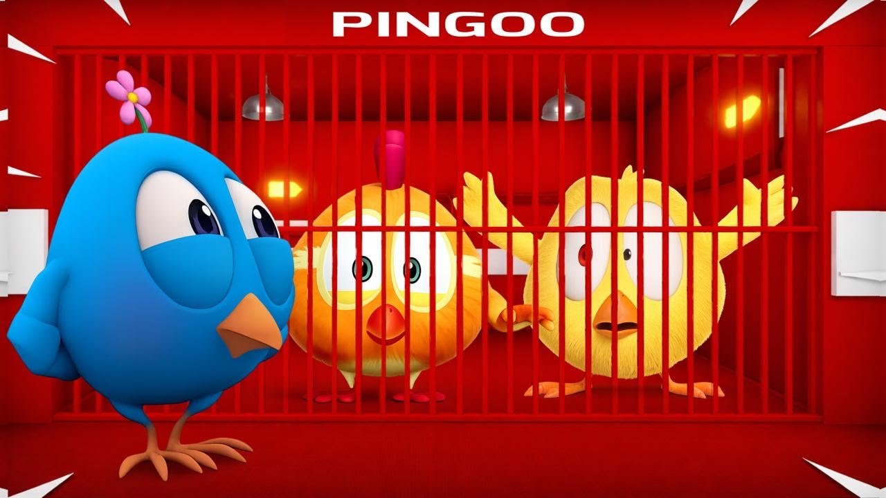 Pingoo Bird Locked Chicky Chukpa In Pingoo Prison In Roblox | #pingoobird #chukpa #chicky