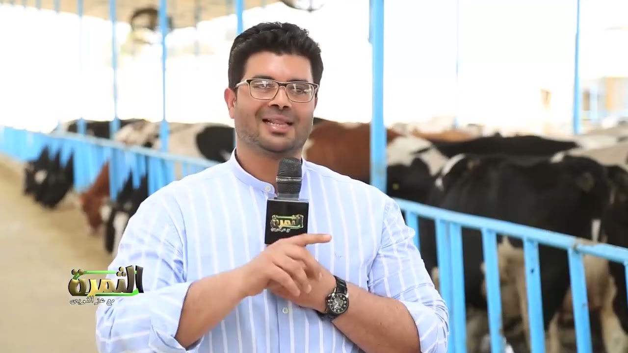 داخل مزرعة أبقار الهولشتاين 🥛 أسرار إنتاج الحليب بكميات كبيرة