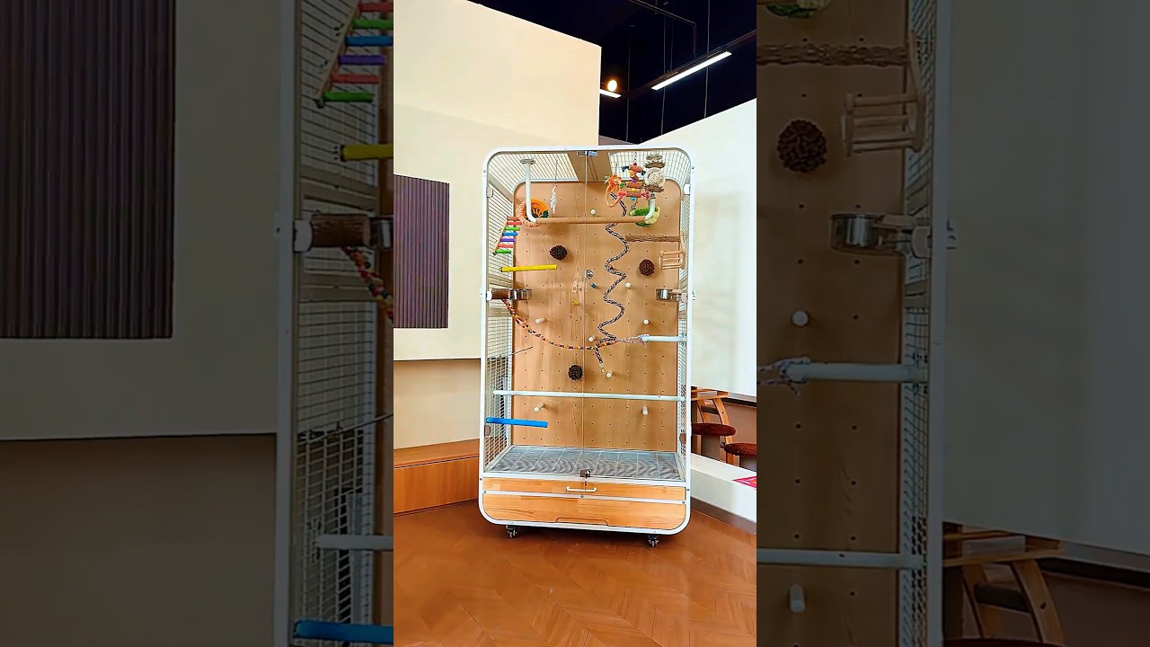 Try to guess how much this super luxurious parrot cage costs (in US dollars). #parrots #lovebirds