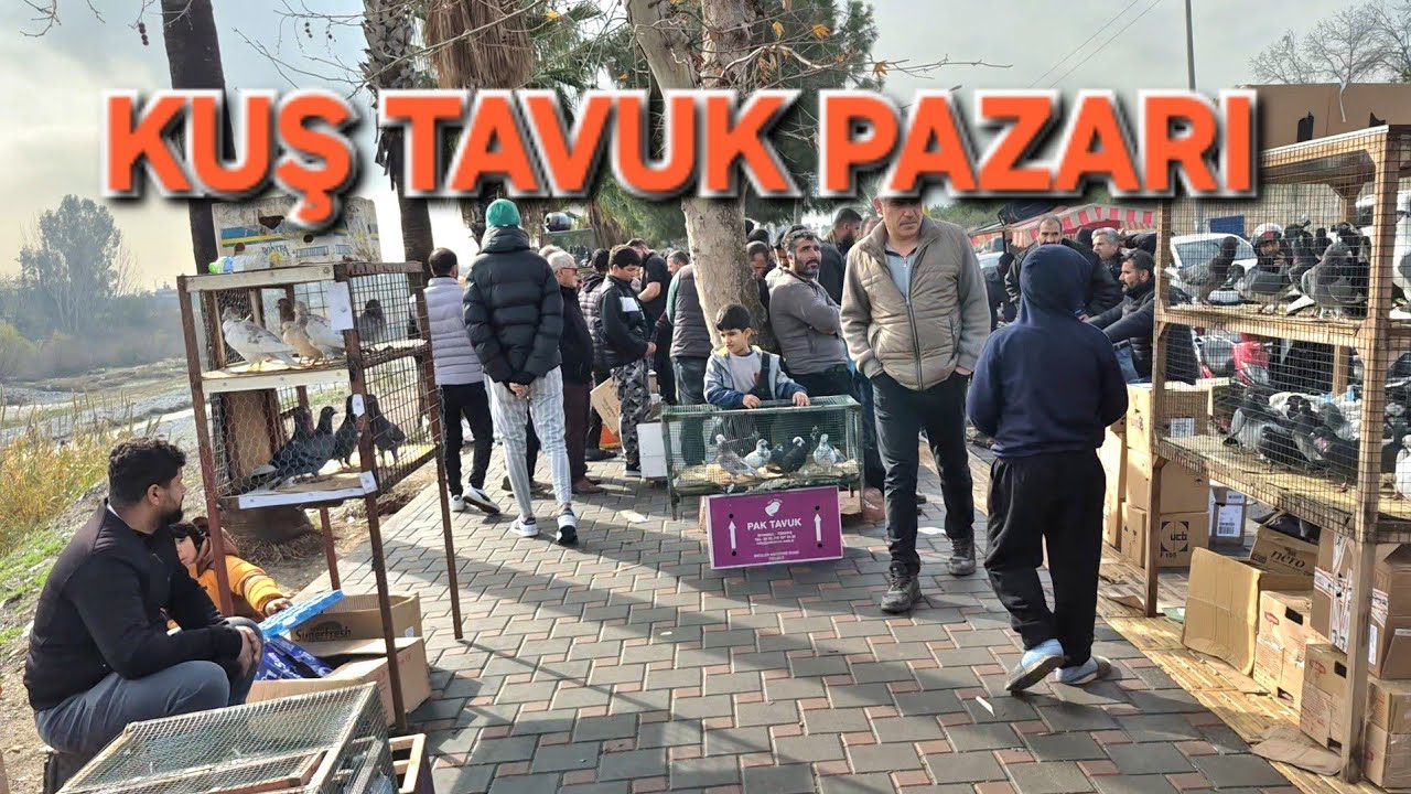 EDİT HEPSİ BANA AİT❗️KUŞ TAVUK PAZARI #keşfet #adana✍️1 Şubat 2026
