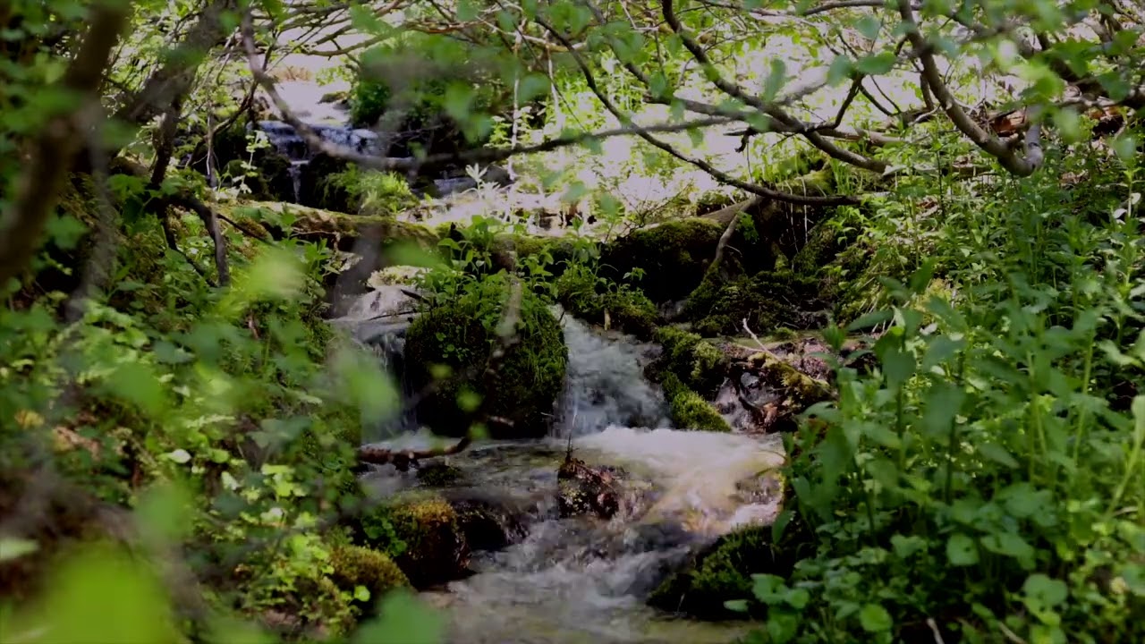 3 hours of peaceful cittern, music, mandolin, very relaxing music