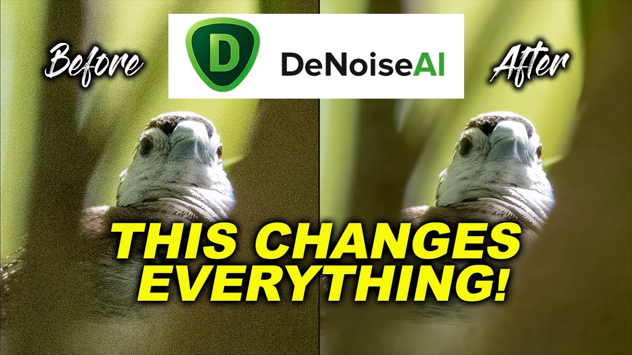 Topaz Denoise AI Tutorial & Review | Is It Worth Getting?