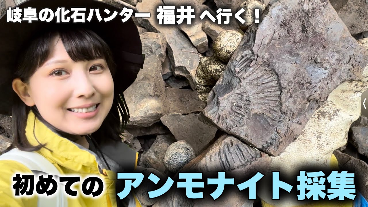 【化石発掘】アンモナイト採集！福井県大野市貝皿へ行ってきました！