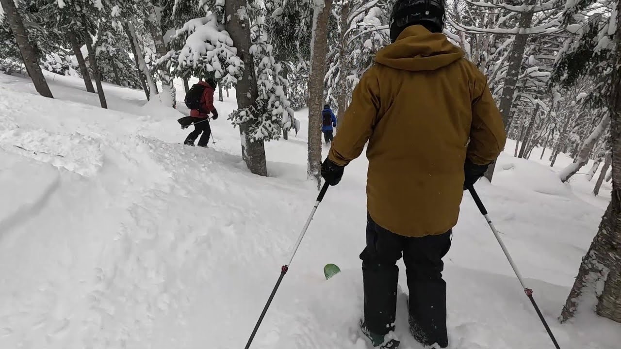 2026 01 23 Massif du sud (partie 4)