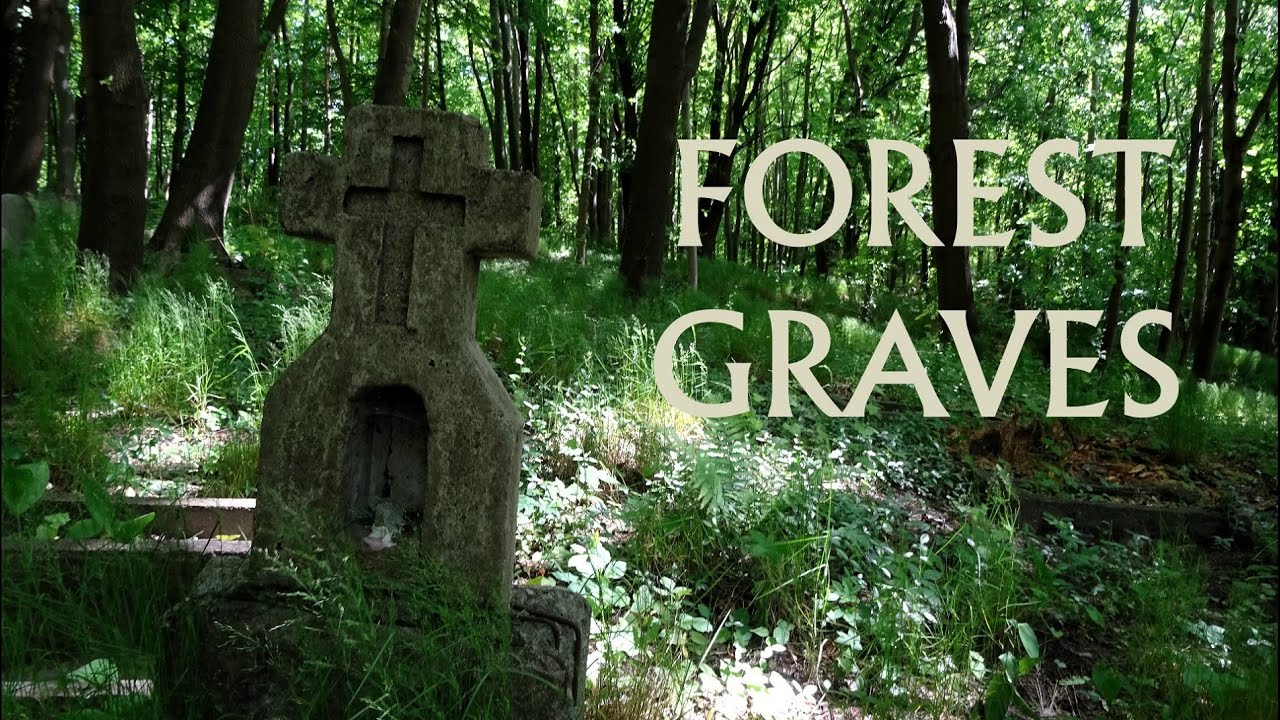 Gdańsk. Cemetery in the Forest. Part 2. Adult's Graves/ Cmentarz w lesie. Cz.2. Kwatery dorosłych.