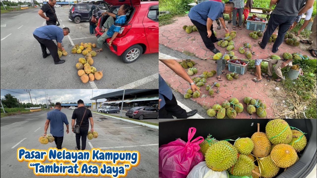 Misi Mencari Buah Durian // “PASAR NELAYAN KAMPUNG TAMBIRAT ASA JAYA” //