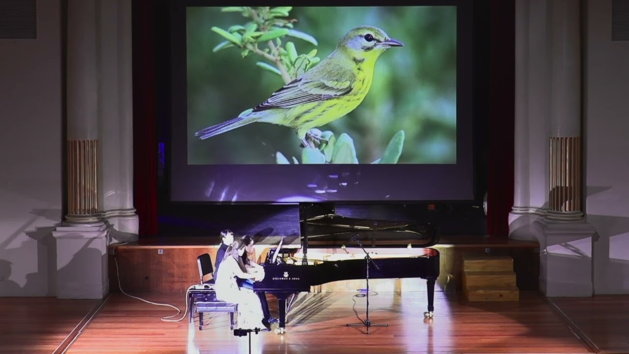 Robert Davidson - The Carnival of Extinct Animals: III. Bachman's warbler