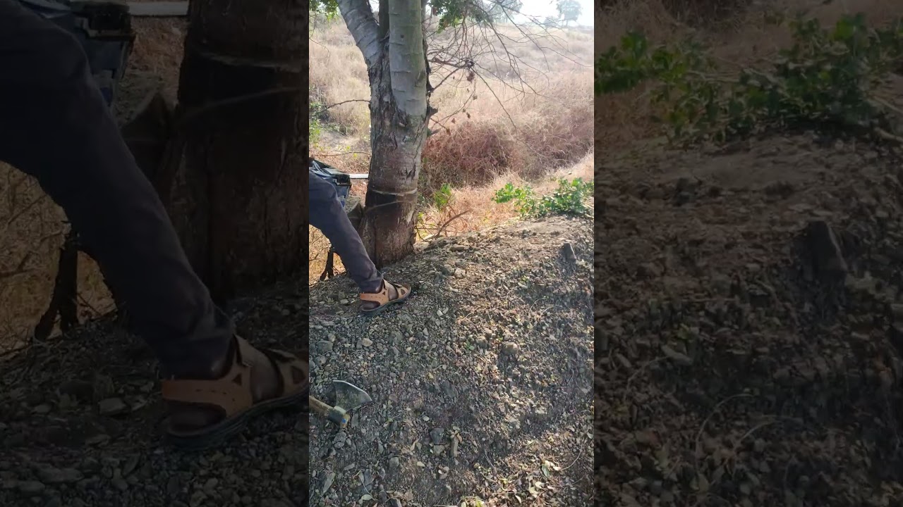 farm wood cutting #farmvideo