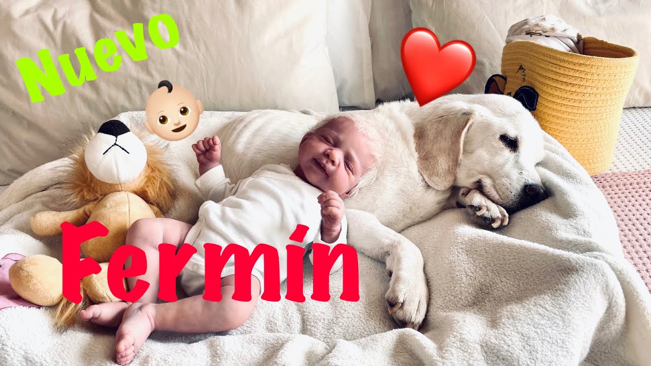 Fermín NUEVO Principito en la Familia de El Principito Reborn