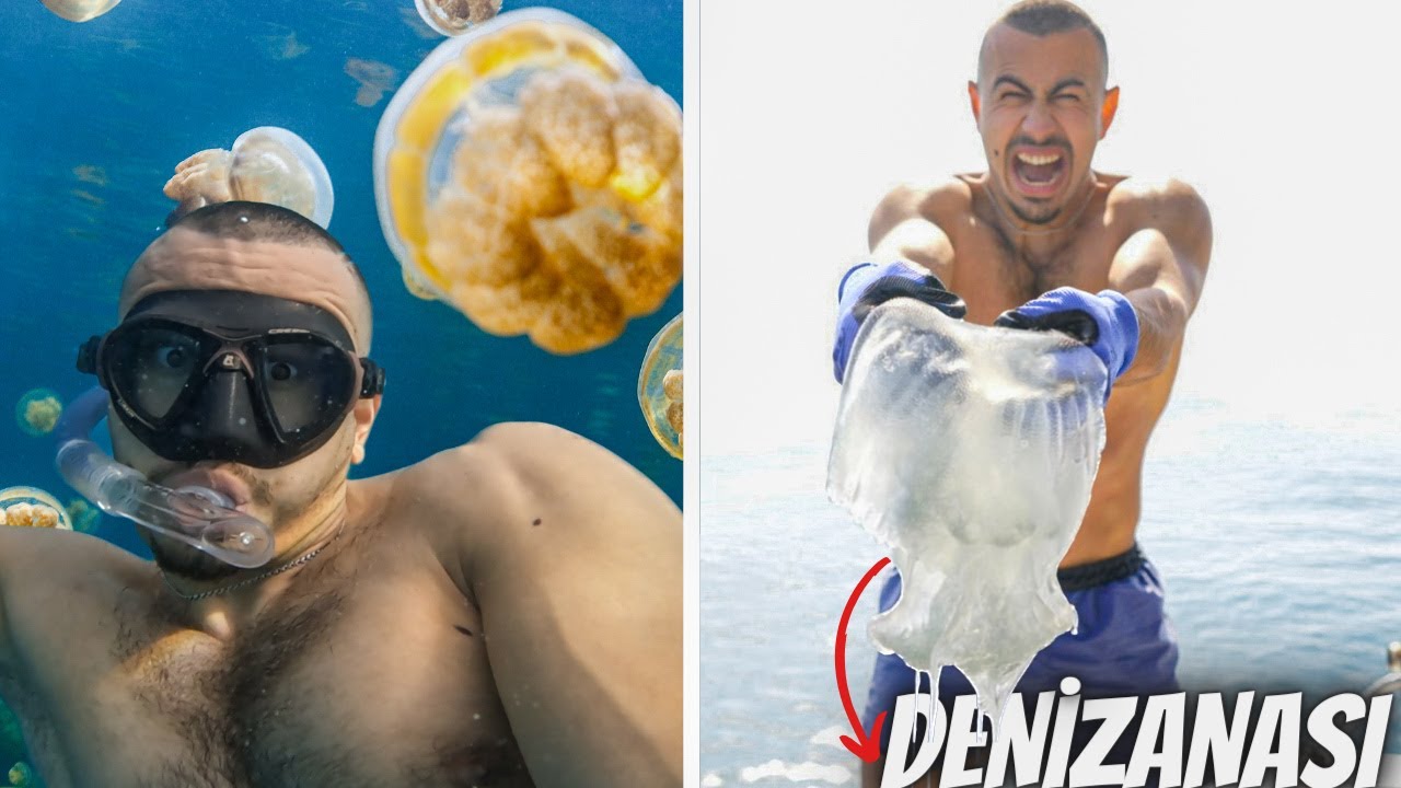 ZEHİRLİ DENİZANALARININ ARASINDA Y&Uuml;ZD&Uuml;M!!(ELİME ALDIM)