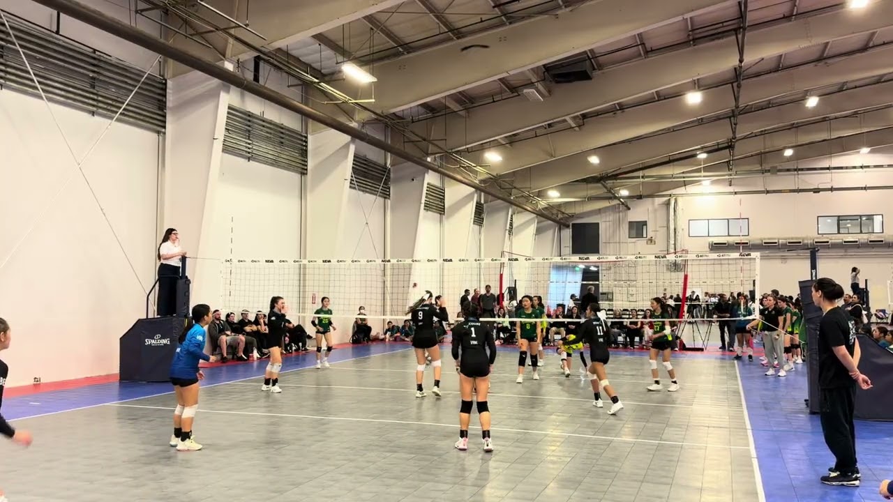 Vibe Blackout vs. Academy Set 1