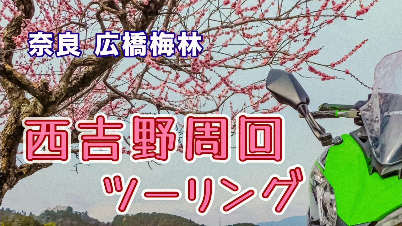【奈良ツーリング】広橋梅林と西吉野の山道を走る｜ソロツーリング