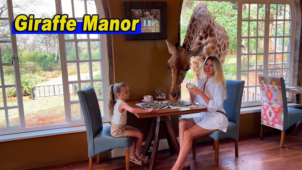 Как забронировать инстаграмный отель Giraffe Manor ? Отель с жирафами в Кении цена и стоимость