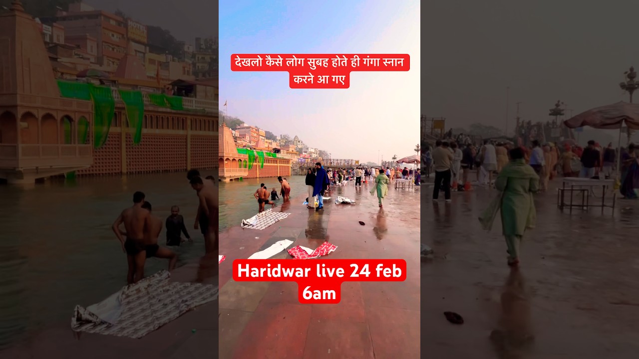 Haridwar live 24feb 6am | Haridwar new #haridwarlive #ganga #ghat #travel #viralshort #india #vlogs