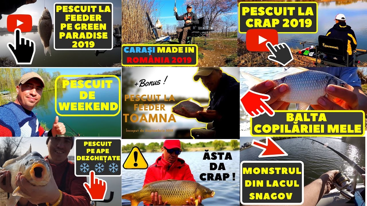 Cum am prins pești tot anul 2019 (part.1) | Pescuim la feeder și &icirc;n 2020