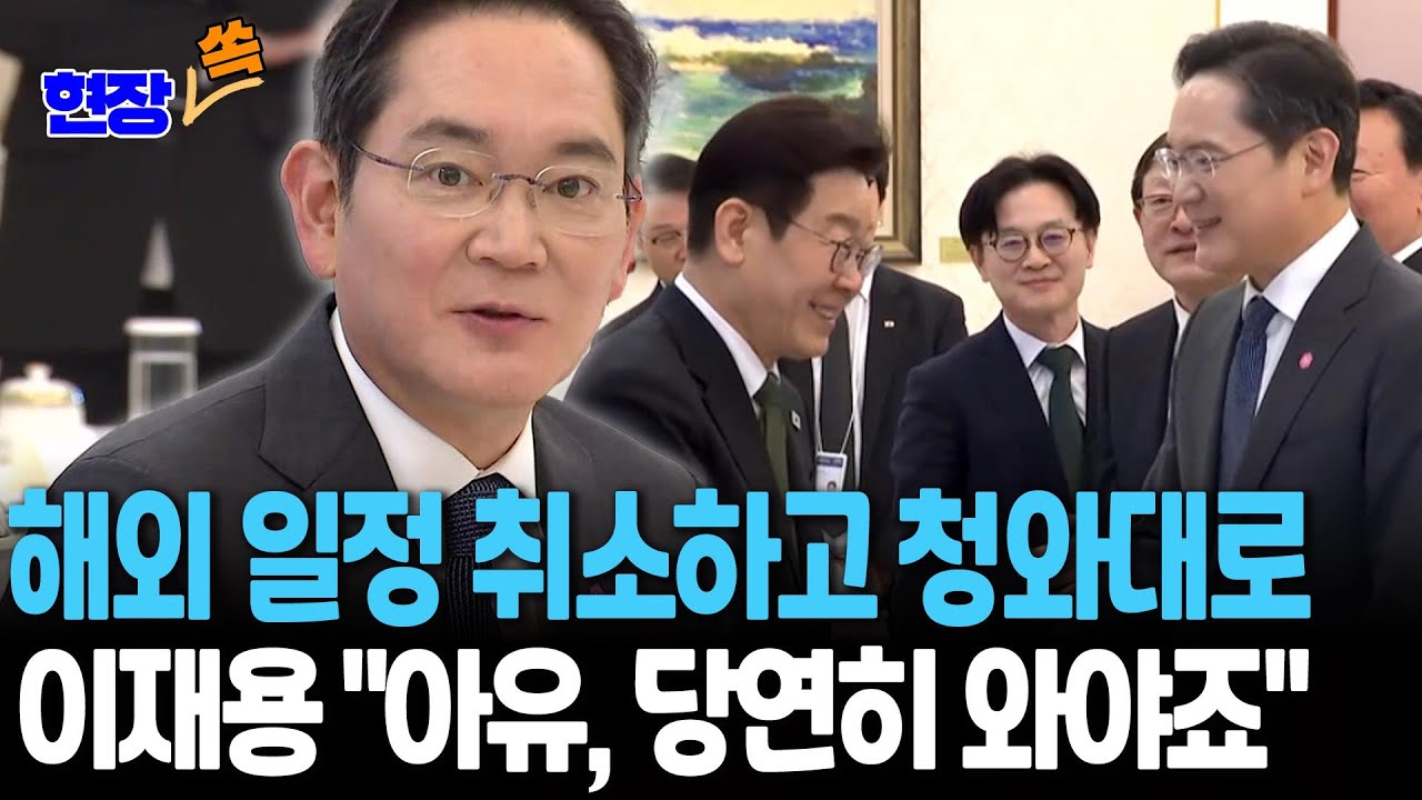 해외 일정 취소하고 청와대로…이재용 