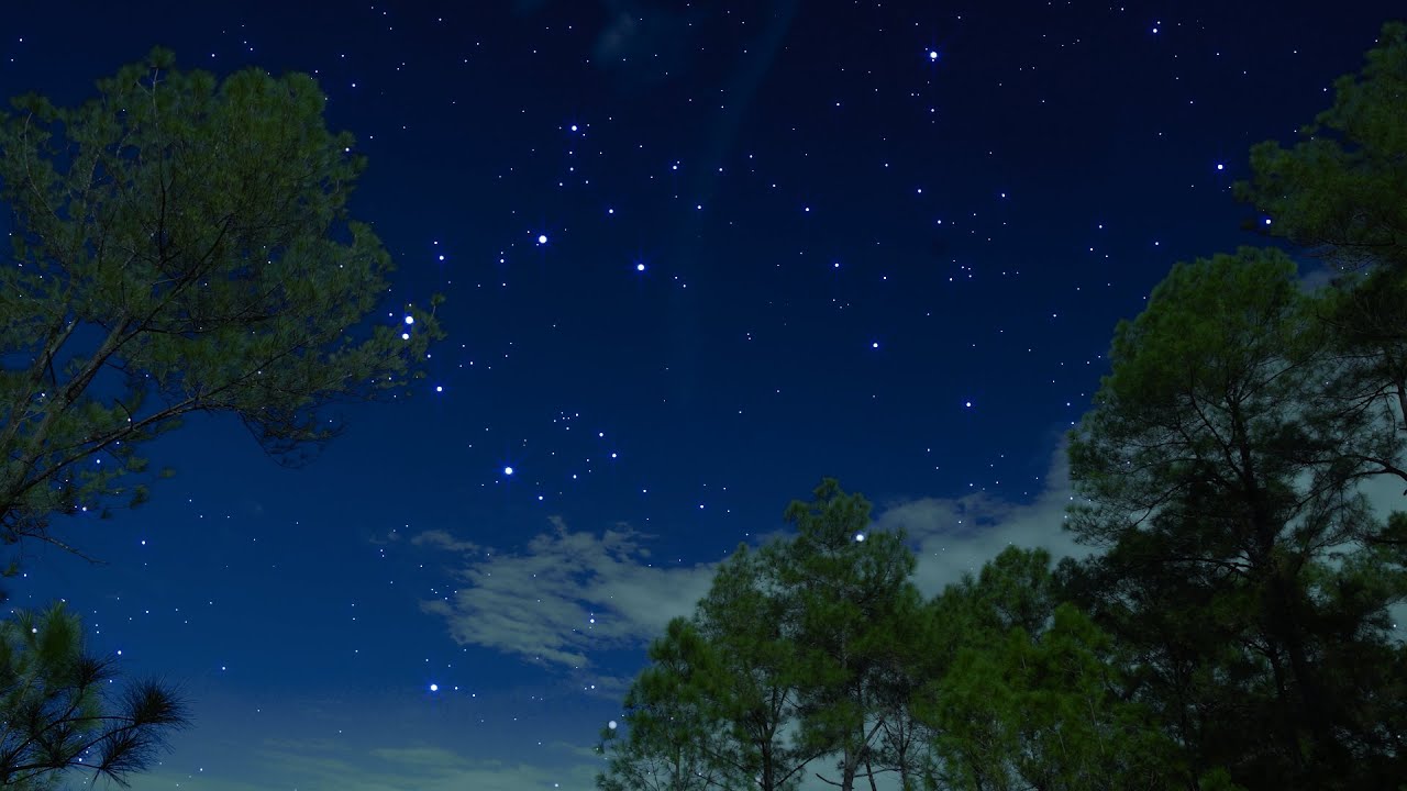 Crickets & Olws Under the Starry Night Sky | Nature Ambience for Relaxation & Deep Sleep | 10 Hours