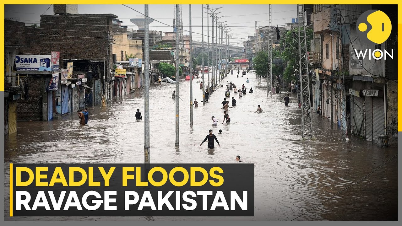 Pakistan Floods: Over 340 Killed in Pakistan's Flash Floods, Khyber Pakhtunkhwa Worst Hit |WION News