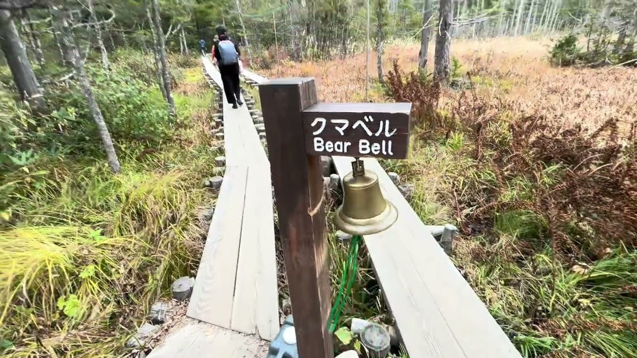 Kamikochi Trekking: Kappa Bridge to Myojin Pond (明神池)