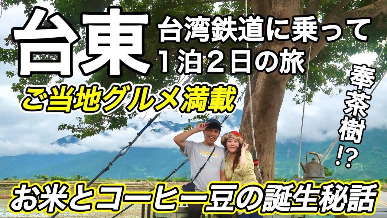 🇹🇼台湾南東部の街、台東へ行ってみよう🎵台東の魅力をご当地グルメを中心にお届け⭐【中文字幕】【台湾#173】