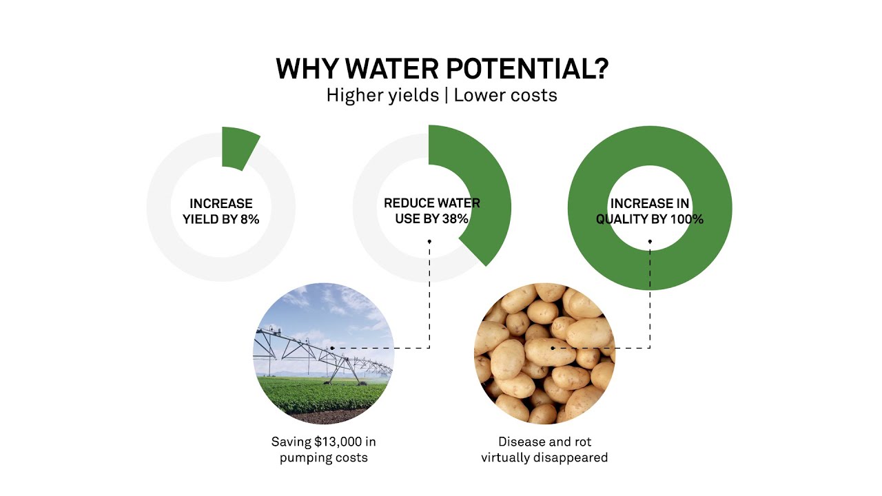 Why Water Potential?