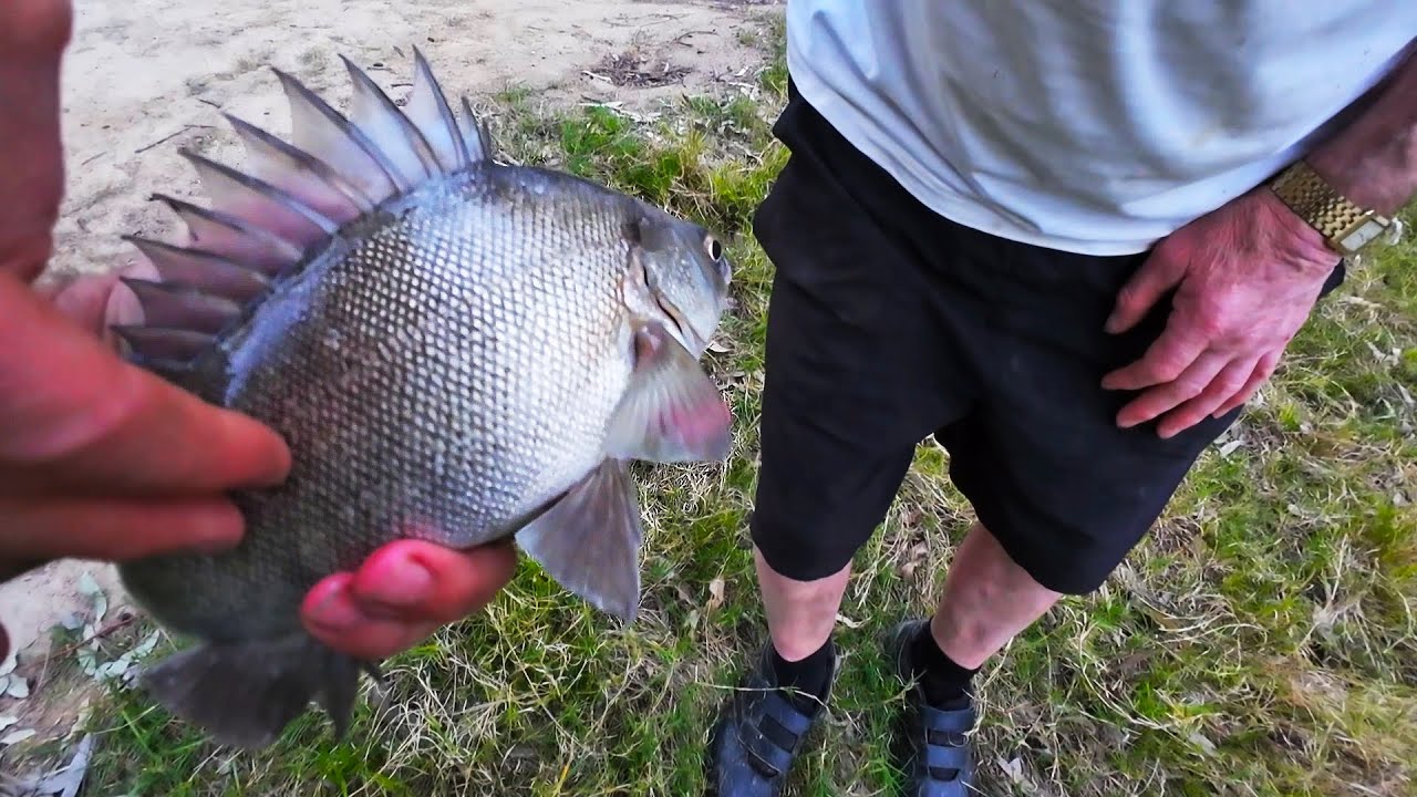 EPIC Fishing In The Murray River At Tocumwal Including Yellowbelly And Silver Perch