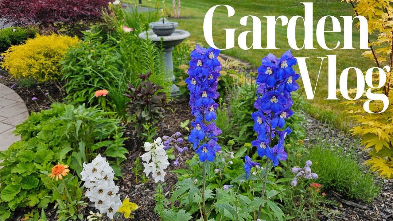 Winter Sowing Results, Pinching Dahlias, Dwarf Zinnias, & Gomphrena 2023