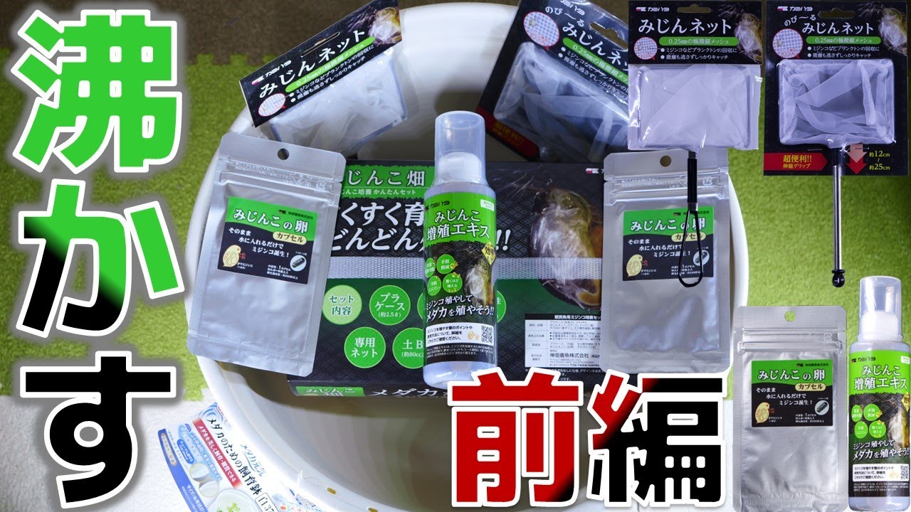 ミジンコを入れて放置するだけでどんどん殖える増殖キット。GEXメダカのための飼育鉢 白370、カミハタ みじんネット、のび～るみじんネット、みじんこ畑、みじんこ増殖エキス、みじんこの卵【ふぶきテトラ】