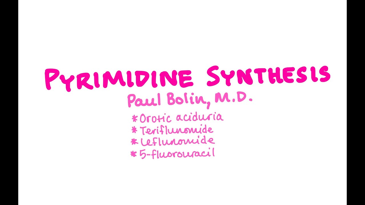 Pyrimidine Synthesis - CRASH! Medical Review Series