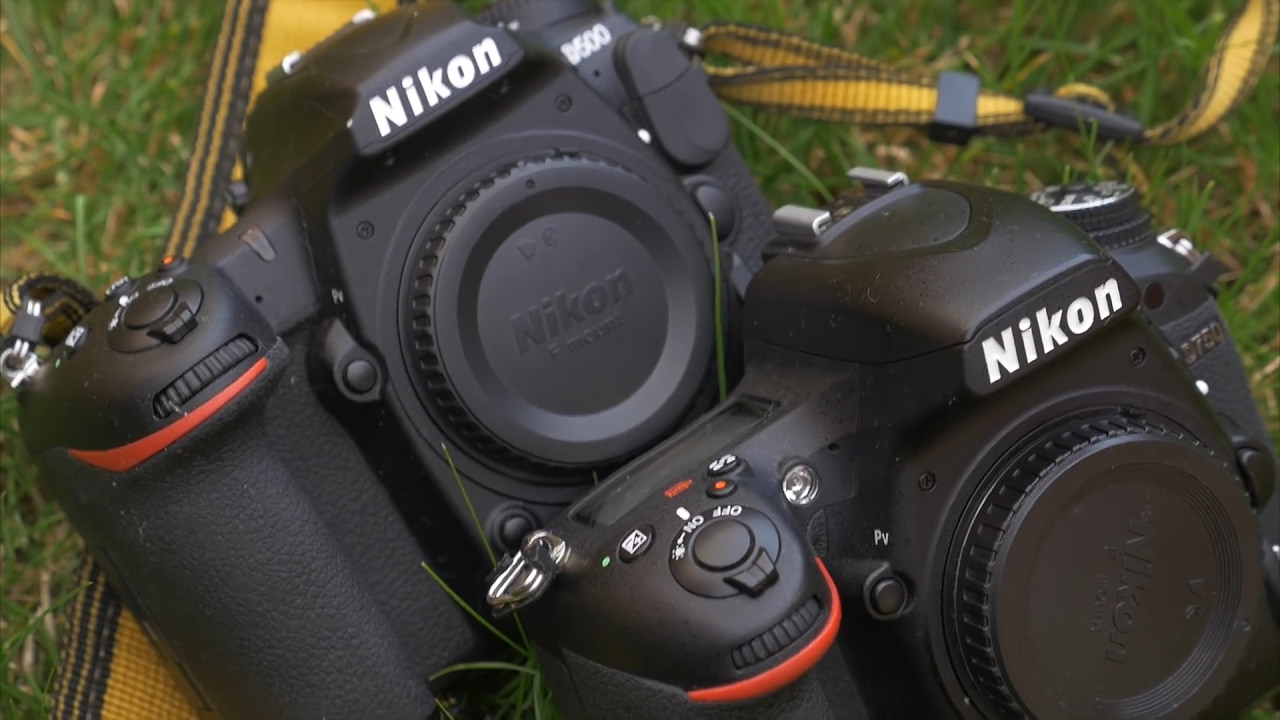 DRTV по-русски: Сравнение Nikon D500 и D750