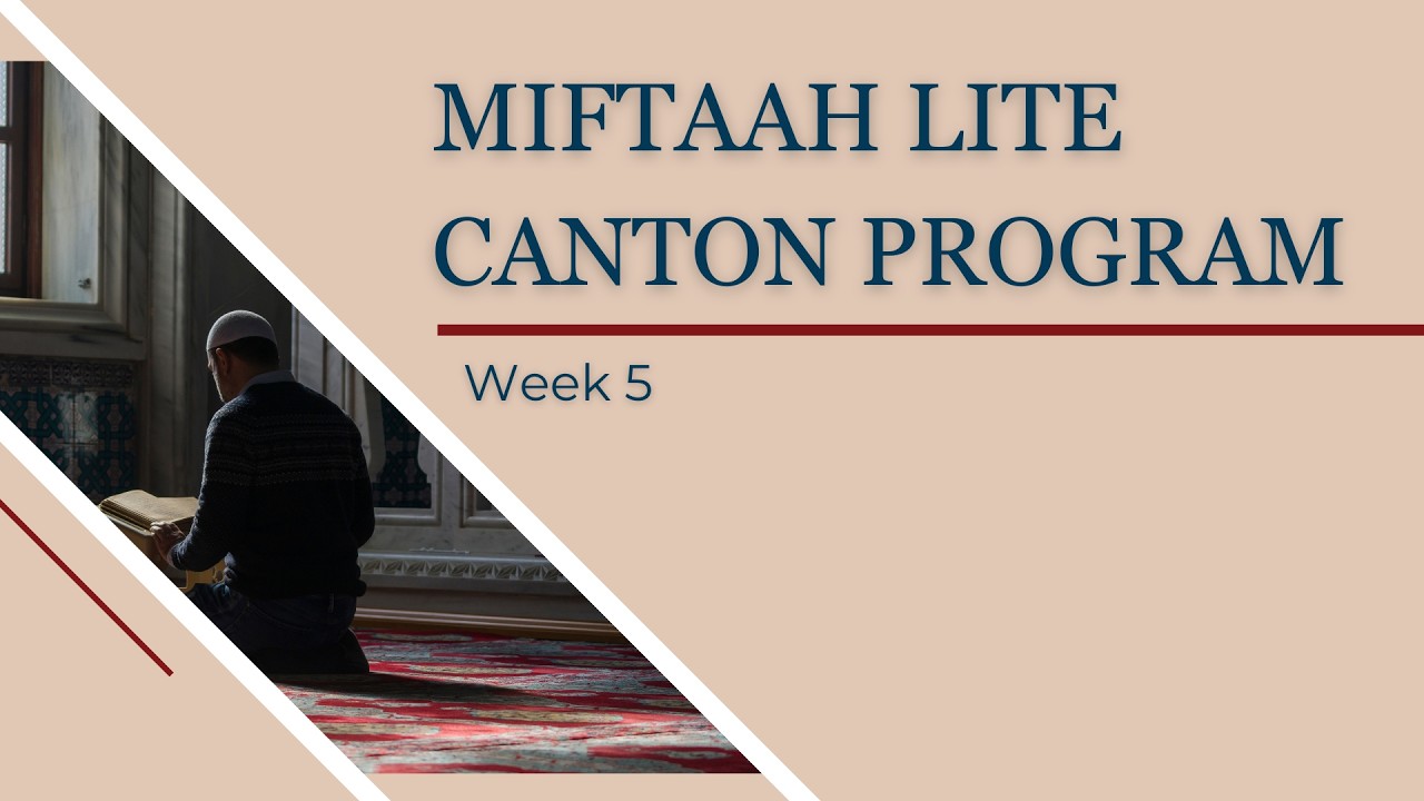 Canton Lite | Week 5