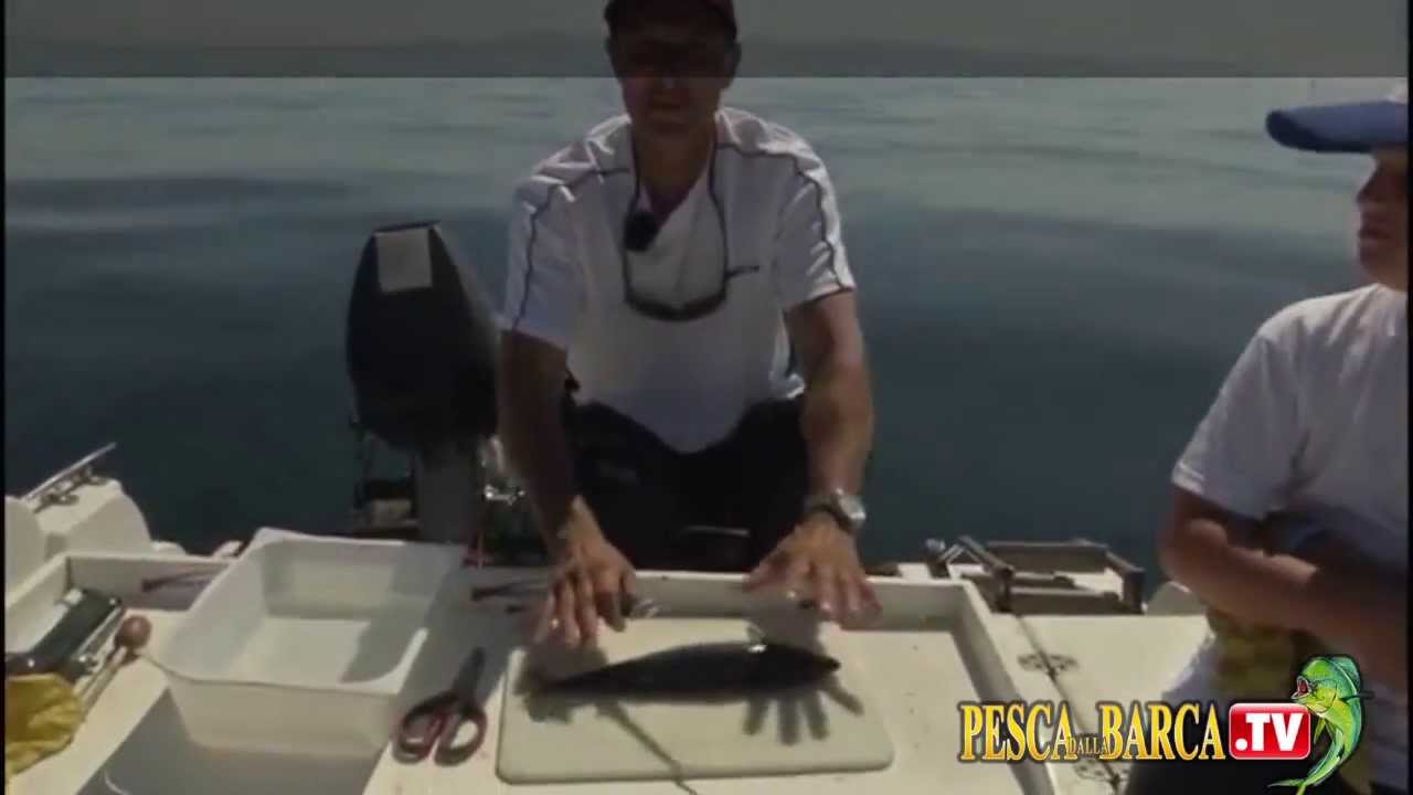 COME PESCARE i LANZARDI (grossi sgombri) con Marco Volpi : inneschi e trucchi | Pesca Dalla Barca TV