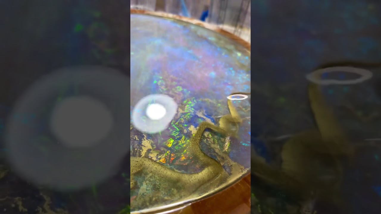 Anyone a big Opal fan?!