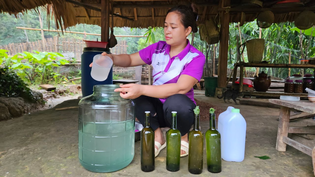 FULL VIDEO: Cooking Wine From Trees - Harvest Frogs, Gourds, Tomatoes, Crabs Goes to market sell