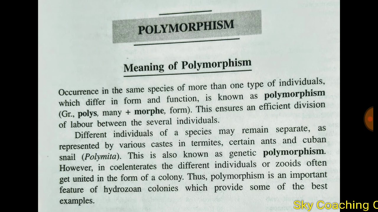 Polymorphism in hydrozoa ,B Sc I year