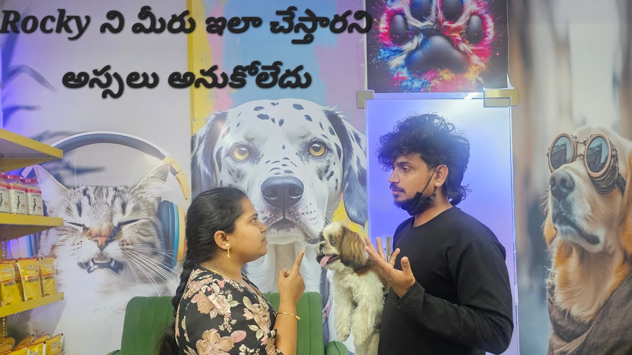 Rocky's Grooming🐶🐶🐶|pet|