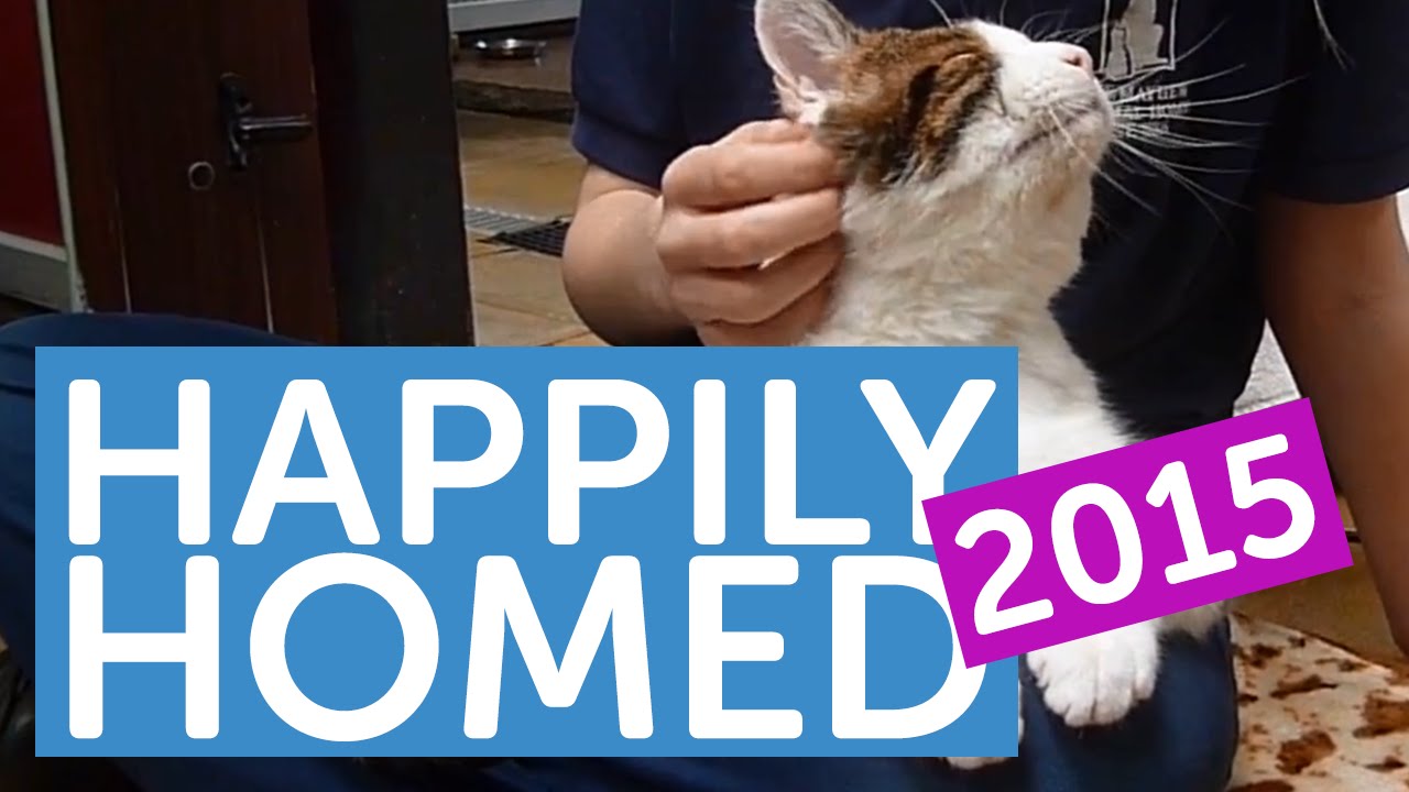 Happily Homed of 2015 | #GiveAPetAChance