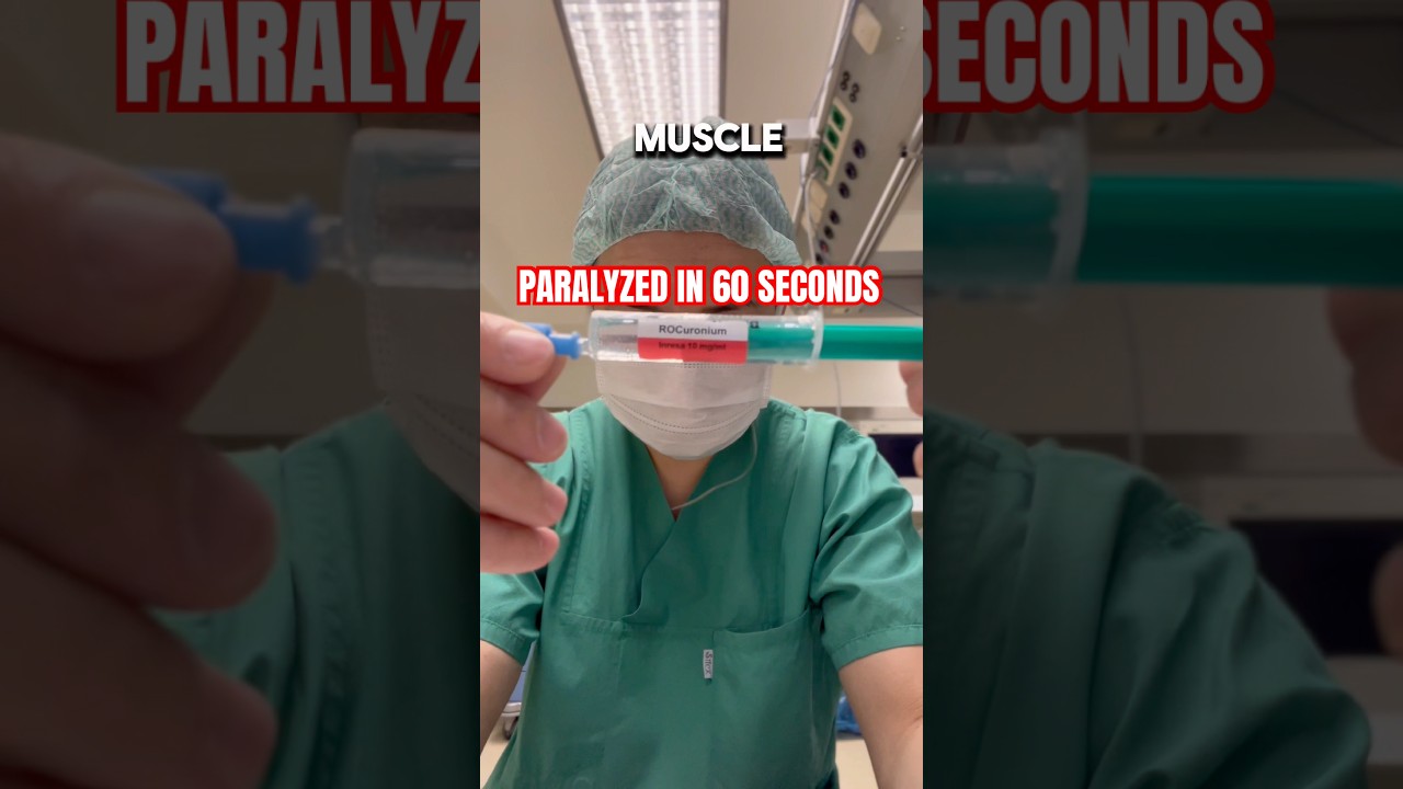 60 Seconds to Total Stillness: How Rocuronium Works