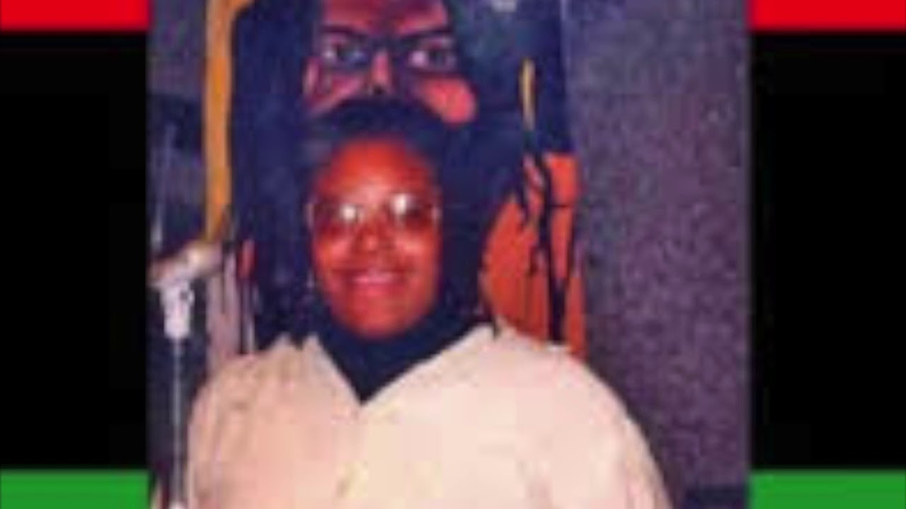 safiya bukhari on the black panther party & the black liberation army