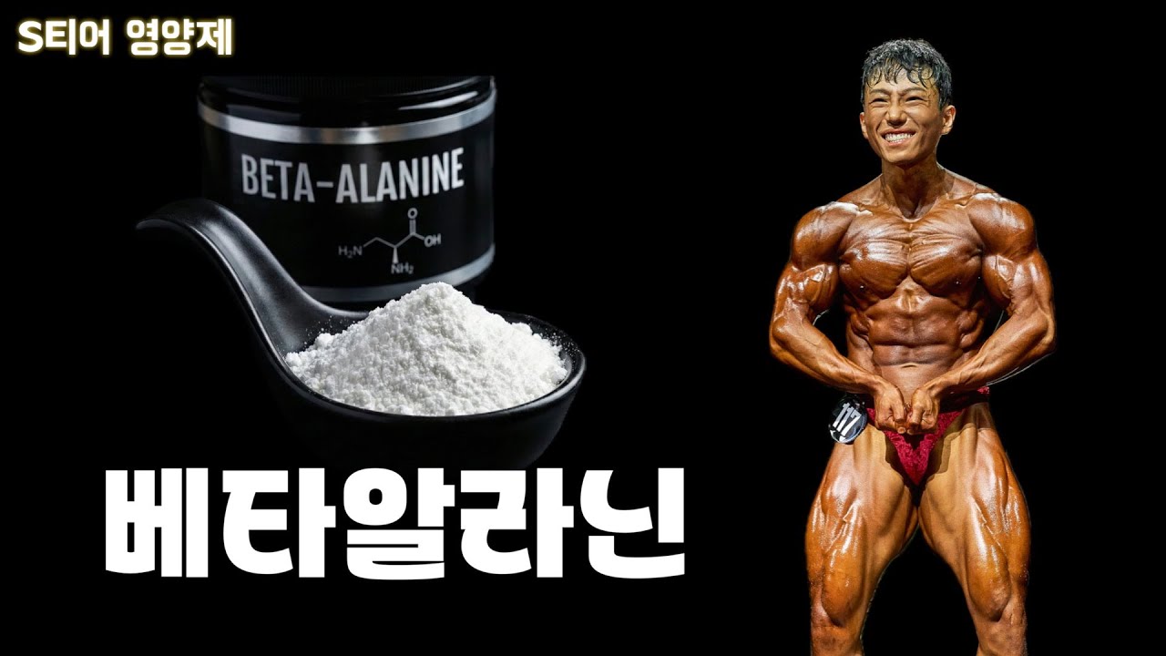 세트 중 빨리 털리는 중상급자를 위한 탑티어 보조제
