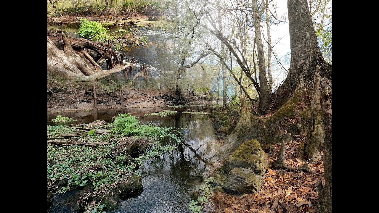 Florida Trail Hike to High Bluff Campsite in The Green Swamp Wilderness Preserve